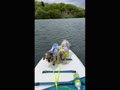 矢野目ダム sup 矢野目ダム sup