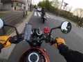 お散歩コース お散歩コース