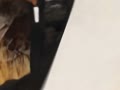ブログ回転.mp4