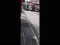 TimeVideo_20250416_093123.mp4 TimeVideo_20250416_093123.mp4